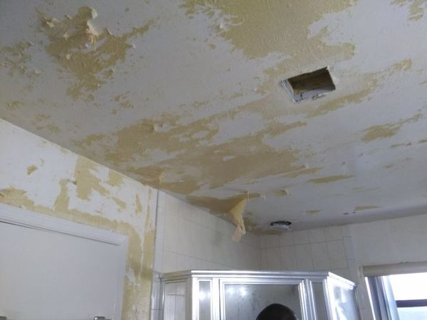 Wallpaper Removal & Interior Painting in Tamarac, FL (1)