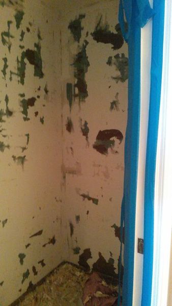 Wallpaper Removal and Painting in Deerfield Beach, Florida (1)